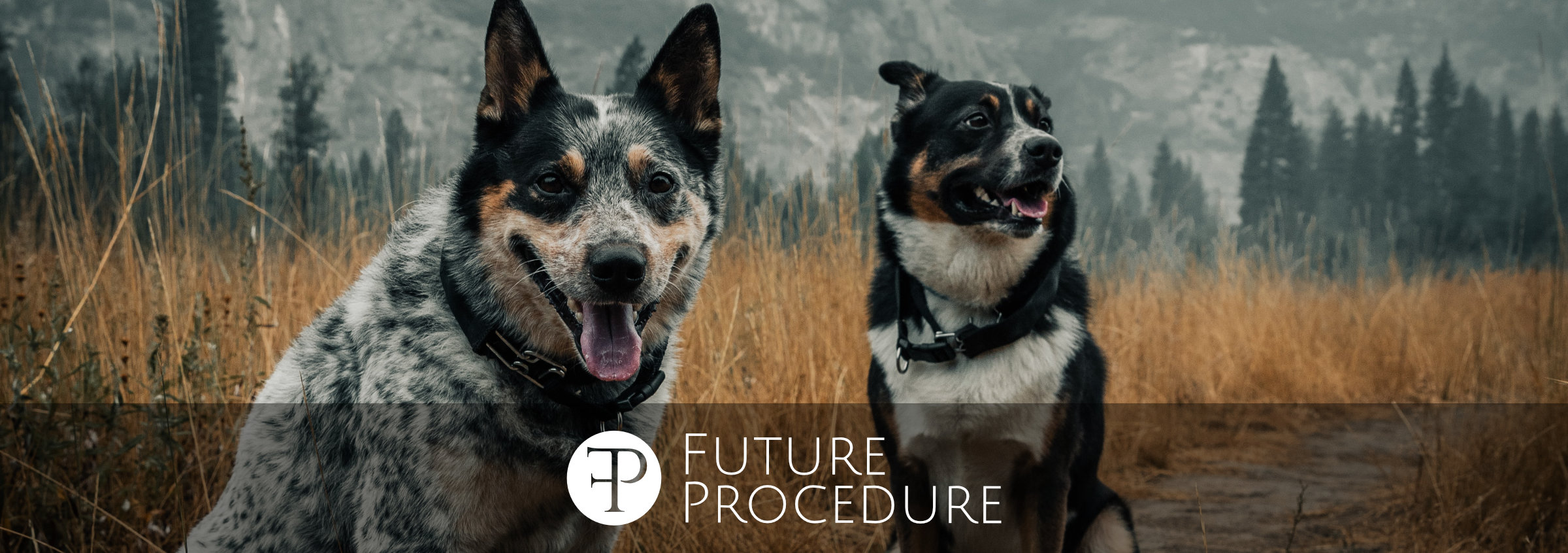 Future Procedure - Imagem geral
